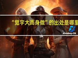 “觉宇大而身微”的出处是哪里
