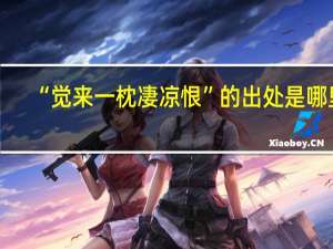 “觉来一枕凄凉恨”的出处是哪里