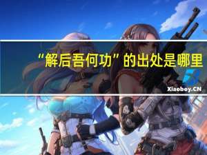 “解后吾何功”的出处是哪里