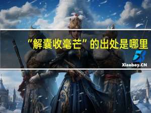 “解囊收毫芒”的出处是哪里