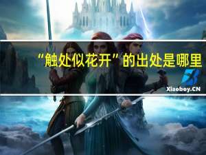 “触处似花开”的出处是哪里