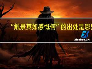 “触景其如感慨何”的出处是哪里