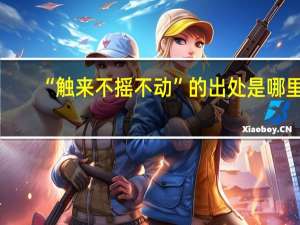 “触来不摇不动”的出处是哪里