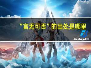 “言无可否”的出处是哪里