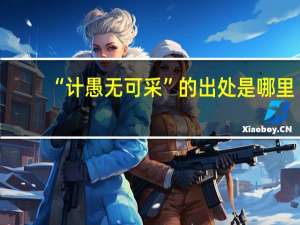 “计愚无可采”的出处是哪里
