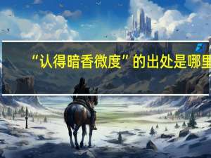 “认得暗香微度”的出处是哪里