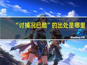 “讨捕况已酷”的出处是哪里