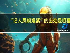 “记人凤舸难紧”的出处是哪里