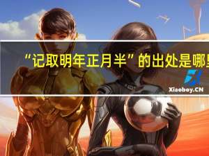 “记取明年正月半”的出处是哪里