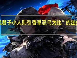 “讽君子小人则引香草恶鸟为比”的出处是哪里
