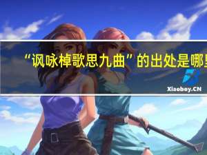“讽咏棹歌思九曲”的出处是哪里