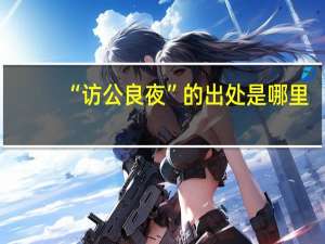 “访公良夜”的出处是哪里