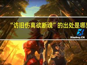 “访旧伤离欲断魂”的出处是哪里