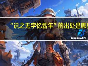 “识之无字忆髫年”的出处是哪里