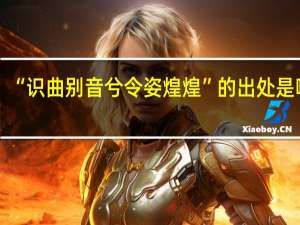 “识曲别音兮令姿煌煌”的出处是哪里