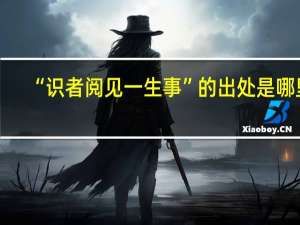 “识者阅见一生事”的出处是哪里