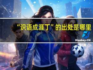 “识语成涯丁”的出处是哪里