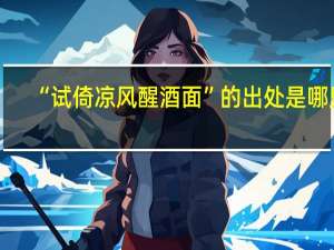 “试倚凉风醒酒面”的出处是哪里