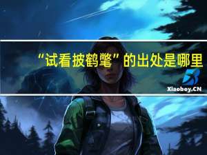 “试看披鹤氅”的出处是哪里