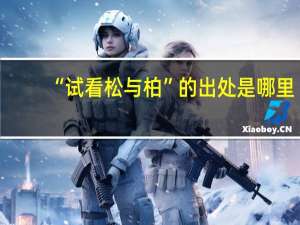 “试看松与柏”的出处是哪里