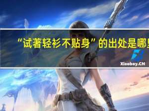 “试著轻衫不贴身”的出处是哪里