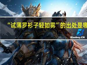 “试薄罗衫子轻如雾”的出处是哪里