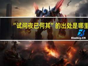“试问夜已何其”的出处是哪里