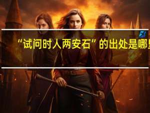 “试问时人两安石”的出处是哪里