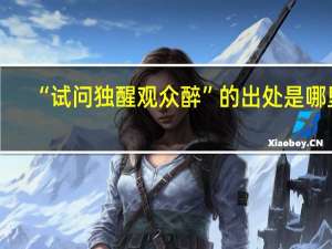“试问独醒观众醉”的出处是哪里