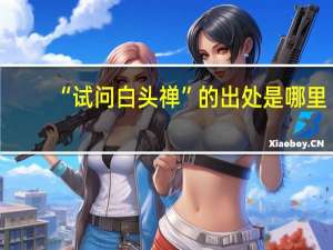 “试问白头禅”的出处是哪里