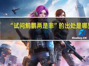“试问鹪鹏两是非”的出处是哪里