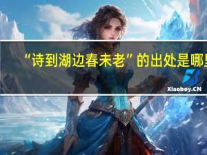 “诗到湖边春未老”的出处是哪里