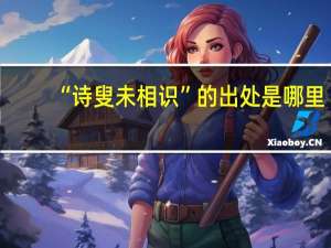 “诗叟未相识”的出处是哪里