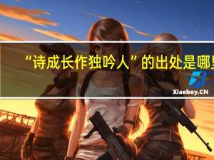 “诗成长作独吟人”的出处是哪里