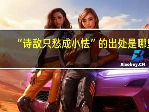 “诗敌只愁成小怯”的出处是哪里