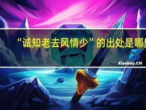 “诚知老去风情少”的出处是哪里