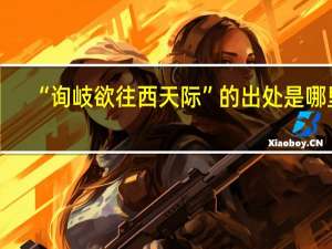 “询岐欲往西天际”的出处是哪里