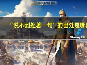 “说不到处著一句”的出处是哪里