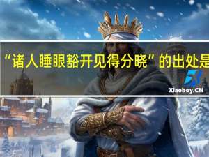 “诸人睡眼豁开见得分晓”的出处是哪里