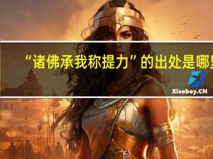 “诸佛承我称提力”的出处是哪里