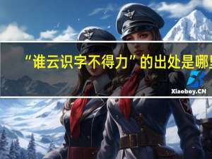 “谁云识字不得力”的出处是哪里