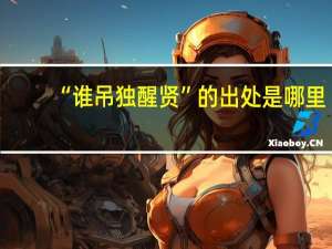 “谁吊独醒贤”的出处是哪里