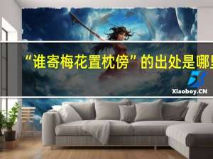 “谁寄梅花置枕傍”的出处是哪里