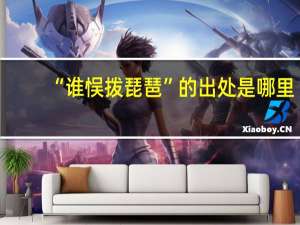 “谁悮拨琵琶”的出处是哪里