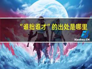 “谁拙谁才”的出处是哪里
