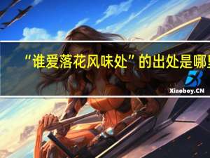 “谁爱落花风味处”的出处是哪里
