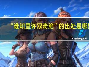 “谁知里许双奇绝”的出处是哪里