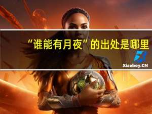 “谁能有月夜”的出处是哪里