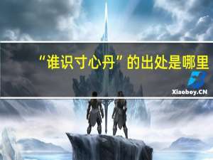 “谁识寸心丹”的出处是哪里