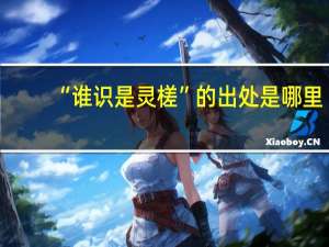 “谁识是灵槎”的出处是哪里
